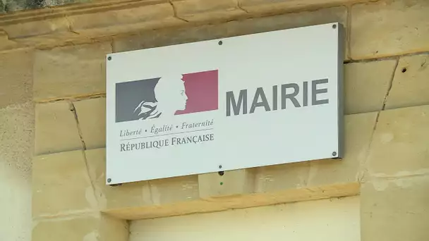 Politique locale : ces maires qui jettent l'éponge