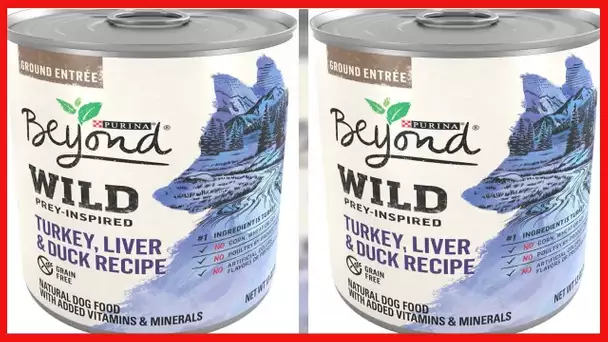 Purina Beyond High Protein, Grain Free, Natural Pate Wet Dog Food, WILD Turkey, Liver & Duck Recipe