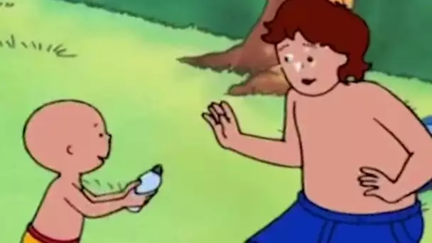 Caillou en français | Le Parc Aquatique | PLUS QU&#039;UNE HEURE COMPLÈTE DE CAILLOU