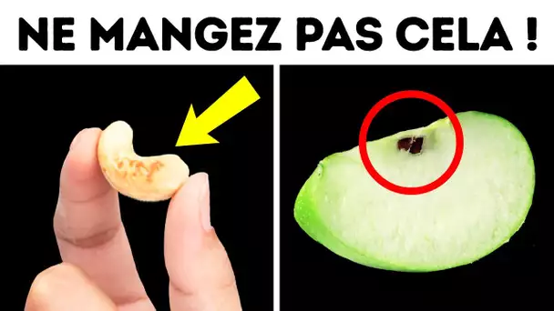 100+ faits insolites que vous ne saviez pas que vous vouliez connaître