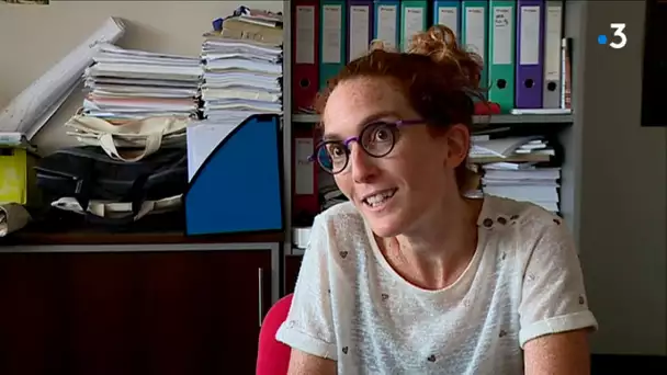 Rentrée scolaire sous tension : témoignages de deux enseignants de Haute-Garonne