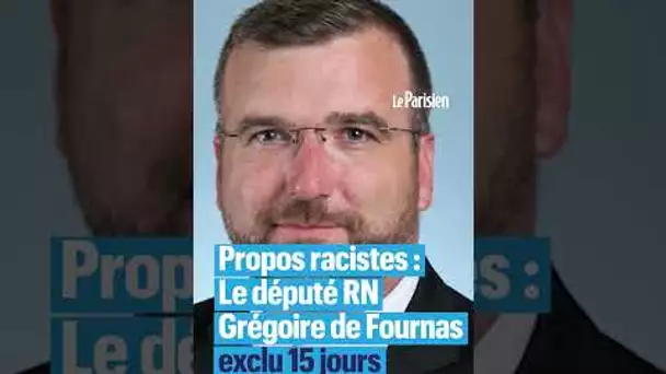 Propos racistes : Le député RN Grégoire de Fournas exclu 15 jours de l'Assemblée nationale