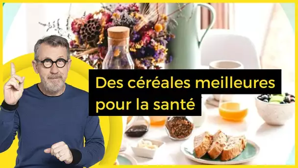 Des céréales meilleures pour la santé - C Jamy