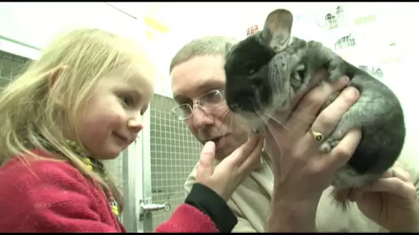 Nos chinchillas c&#039;est toute notre vie