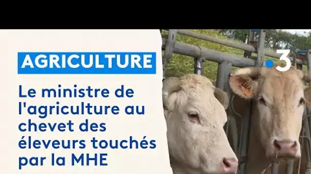 Béarn : le ministre de l'agriculture au chevet des éleveurs touchés par la MHE