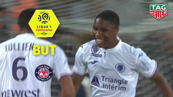 But Bafodé DIAKITE (33') / Dijon FCO - Toulouse FC (2-1)  (DFCO-TFC)/ 2018-19