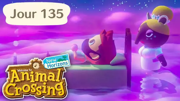 Jour 135 | La MISE A JOUR des RÊVES ! | Animal Crossing : New Horizons