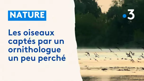 Jean-Noël Rieffel, l'ornithologue un peu perché et passionné des oiseaux