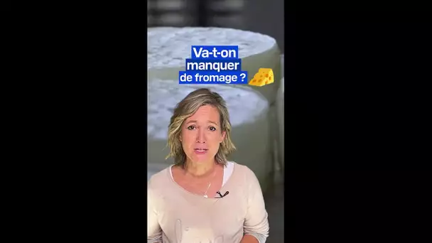 Pourquoi risque-t-il d'y avoir une pénurie de fromage ?