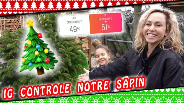 INSTAGRAM CONTROLE MA VIE #2 : Notre Sapin de Noël et sa déco !