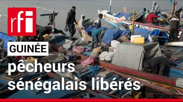 Guinée : les 300 pêcheurs sénégalais sont libres • RFI
