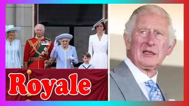Le prince Charles giflé par un expert alors que le 'problème' clé du plan de la m0narchie est révélé
