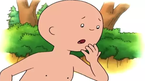 Caillou et les Grands Espaces | Caillou en Français