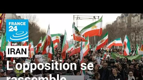 Des Iraniens interpellent l'UE lors d'une manifestation anti-Téhéran à Paris • FRANCE 24