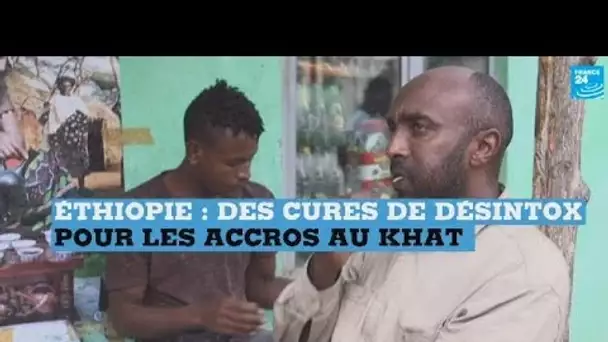 En Éthiopie, des cures de désintoxication pour les accros au khat