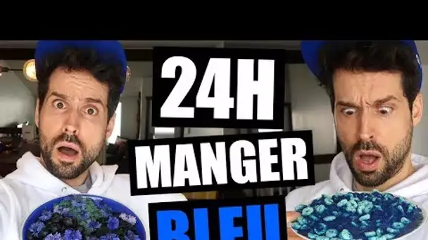 JE MANGE QUE LA NOURRITURE BLEUE PENDANT 24H - HUBY