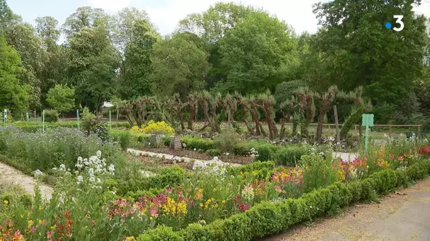 Visite privée du jardin des sciences de Dijon