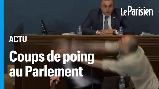 Georgie : bagarre au Parlement pour une loi jugée « pro-russe » par l'opposition