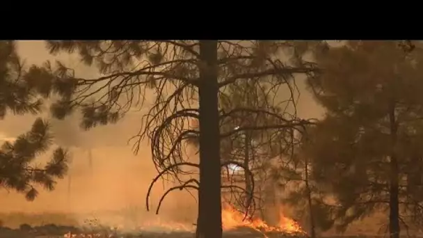 Dixie Fire toujours en activité dans le nord de la Californie
