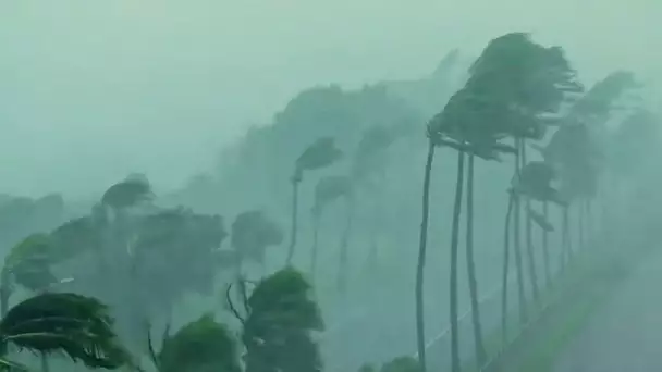 Le cyclone qui a détruit Haïti