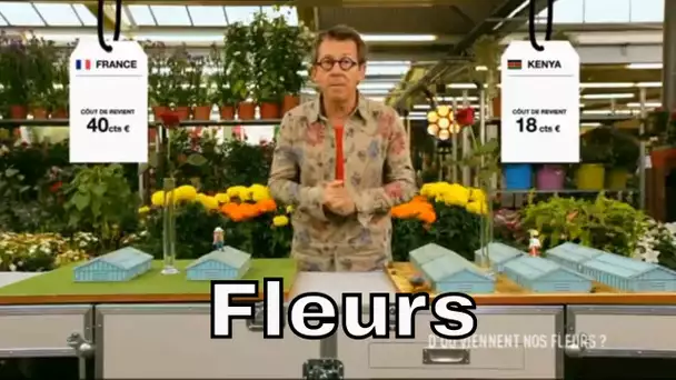 Pourquoi faire venir des fleurs d'autres continents ? - C'est Pas Sorcier