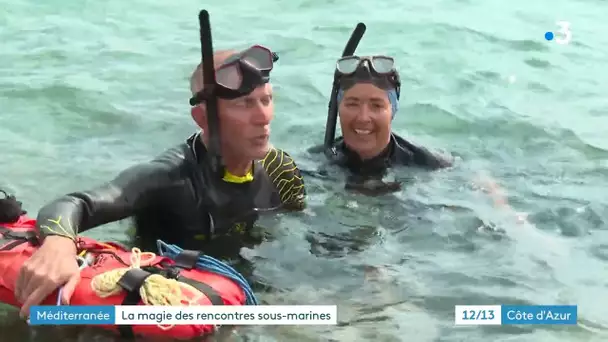 Un couple d'Azuréens passionné d’apnée réalise des images des fonds marins à couper le souffle