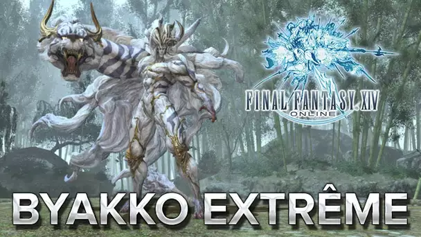 Final Fantasy XIV #9 : Byakko extreme