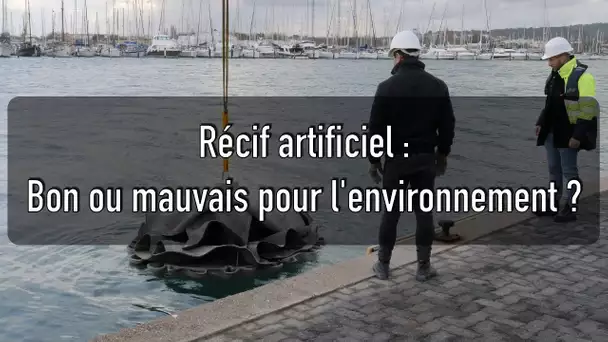 Les récifs artificiels sont-ils vraiment bénéfiques pour l’environnement ?