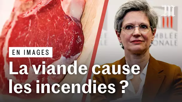 Viande et incendies : ce qu’affirme Sandrine Rousseau est vrai