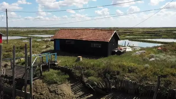 « Tous les chemins mènent à vous » à La Tremblade dans le département de la Gironde