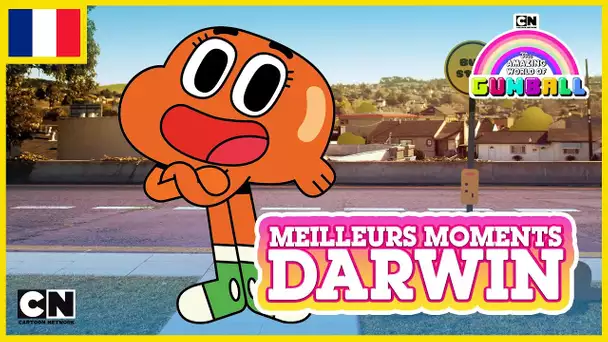 Le Monde Incroyable de Gumball 🇫🇷 | Les meilleurs moments de Darwin #6