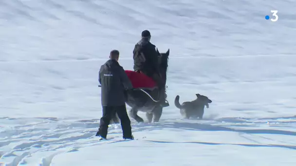 On a testé...le ski-joëring !