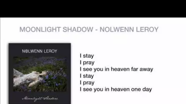 Nolwenn Leroy - Moonlight Shadow