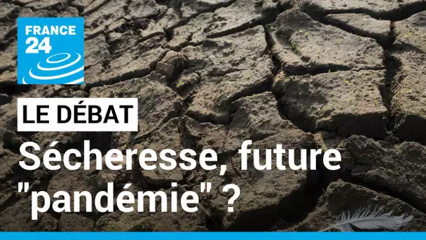 LE DEBAT - Sécheresse, "prochaine pandémie" ? La COP15 contre la désertification s'ouvre à Abidjan
