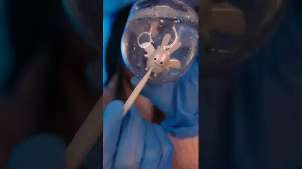 ASMR rare et agréable 😌