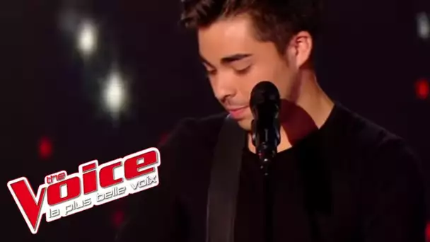 Avicii – Wake Me Up | Alejandro Reyes | The Voice France 2014 | Blind Audition