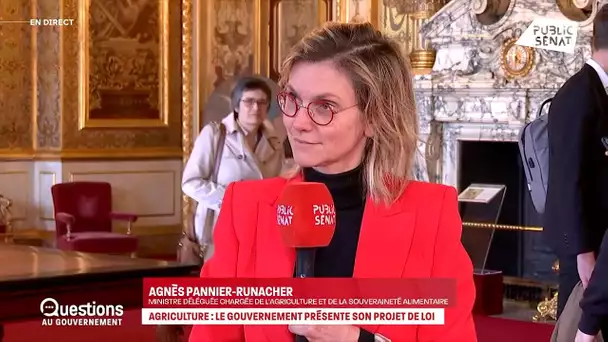 Projet de loi d’orientation agricole : « Il faut être pragmatique », selon Agnès Pannier-Runacher