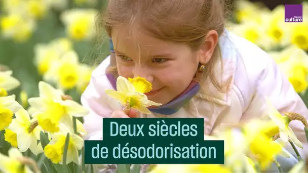 Deux siècles de désodorisation