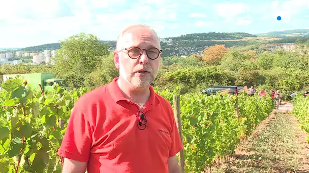 Vendanges à Talant : Philippe Chautard explique l'intérêt de la nouvelle parcelle