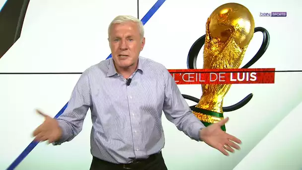 L'Oeil de Luis : "Le Brésil va aller au bout !"