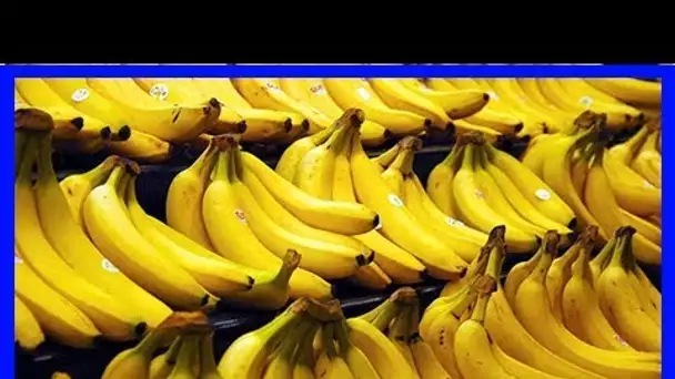Déprime, nausée, gueule de bois : 6 bonnes raisons de manger des bananes