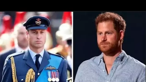 Le prince Harry "a mis fin à tout type de relation" avec le prince William lorsqu'il a publié Spare