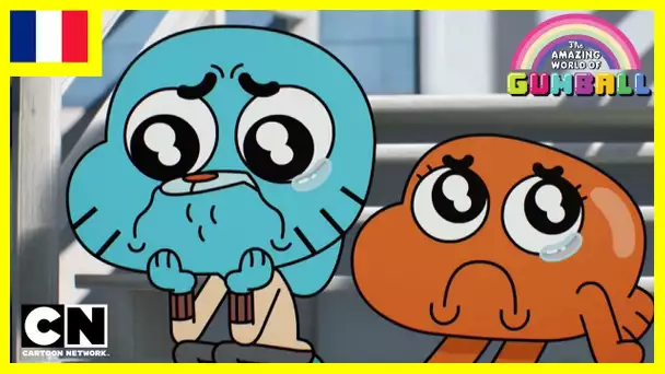 Le Monde Incroyable de Gumball 🇫🇷| Le coeur