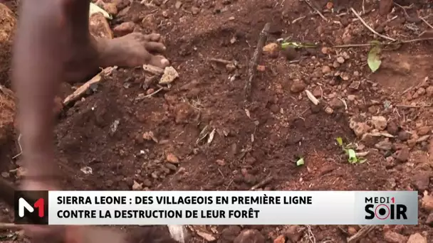Sierre Leone : des villageois en première ligne contre la destruction de leur forêt