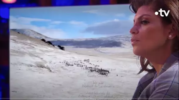 Nawell Madani chez les éleveurs de yacks de Mongolie : plateau retour de terre inconnue
