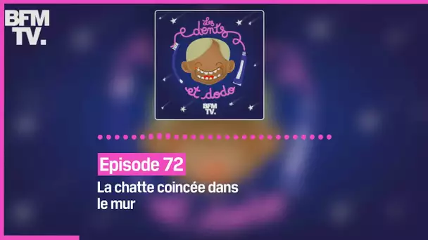 Episode 72 : La chatte coincée dans le mur - Les dents et dodo