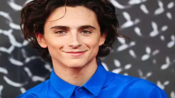 ✅  Timothée Chalamet incarnera Bob Dylan dans un film consacré au chanteur