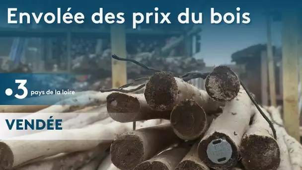 Artisanat : l'envolée des prix du bois pèse sur les professionnels en Vendée et Loire-Atlantique