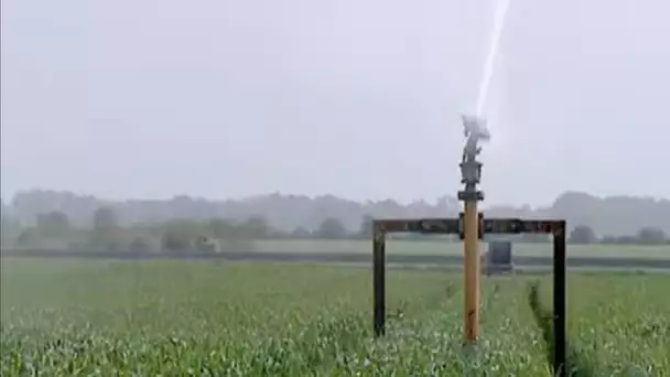 90 % de l'eau est utilisée pour l'irrigation agricole