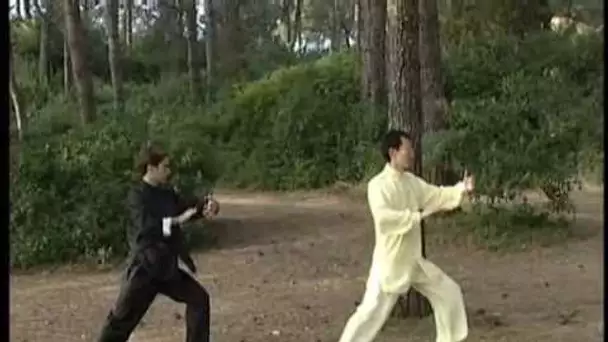 Démonstration de Tai Chi